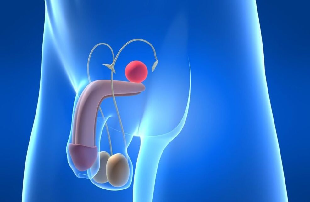 Diseases of the reproductive system can cause a decrease in potency in men